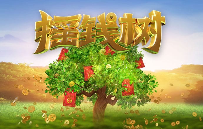 百万粉丝网红遭绑架灭口，案件细节公开